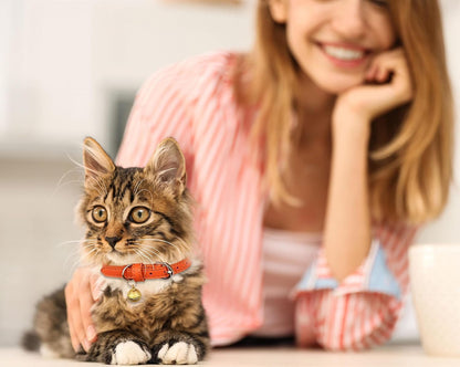 3-Pack Soft Leather Cat Collars with Bells - Safety Kitten Collars in Orange, Yellow, and Mint Green (Small)