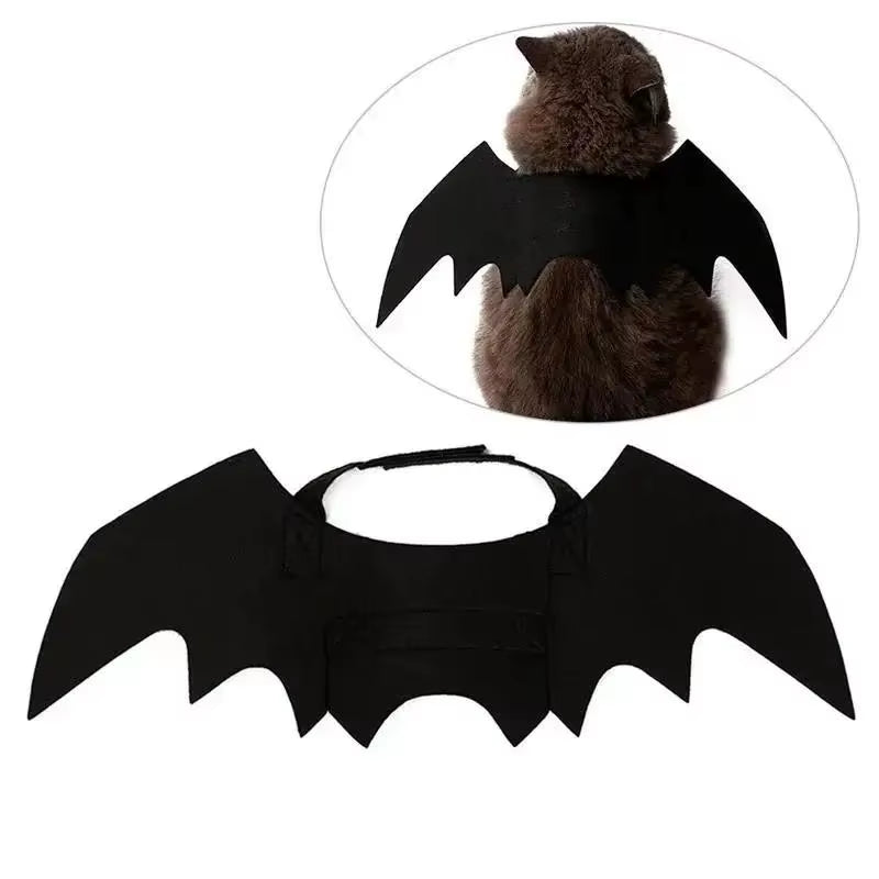 Adorable Cat Cosplay Costume with Bat Wings - The Ultimate Halloween Fun! 🐾🎃✨