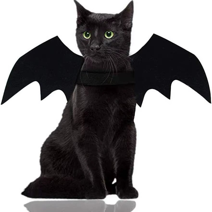 Adorable Cat Cosplay Costume with Bat Wings - The Ultimate Halloween Fun! 🐾🎃✨