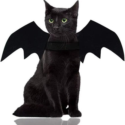 Adorable Cat Cosplay Costume with Bat Wings - The Ultimate Halloween Fun! 🐾🎃✨