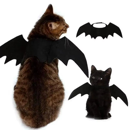 Adorable Cat Cosplay Costume with Bat Wings - The Ultimate Halloween Fun! 🐾🎃✨