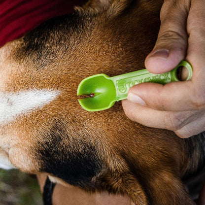 Tick Removal Tool Set - 3 Lightweight Spoons with Complimentary Tick Identification Card and Carabiner