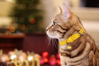 3-Pack Soft Leather Cat Collars with Bells - Safety Kitten Collars in Orange, Yellow, and Mint Green (Small)