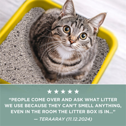 Purina Free and Clean Unscented Clumping Cat Litter - 20 Lb Jug of Natural Clay