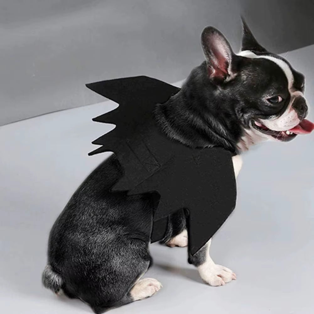 Adorable Cat Cosplay Costume with Bat Wings - The Ultimate Halloween Fun! 🐾🎃✨