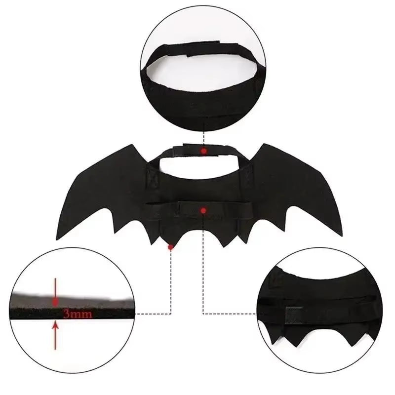 Adorable Cat Cosplay Costume with Bat Wings - The Ultimate Halloween Fun! 🐾🎃✨