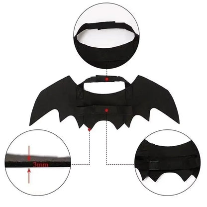 Adorable Cat Cosplay Costume with Bat Wings - The Ultimate Halloween Fun! 🐾🎃✨