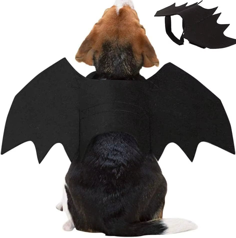 Adorable Cat Cosplay Costume with Bat Wings - The Ultimate Halloween Fun! 🐾🎃✨