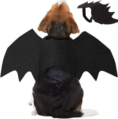 Adorable Cat Cosplay Costume with Bat Wings - The Ultimate Halloween Fun! 🐾🎃✨